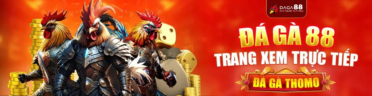 Sân chơi đá gà trực tuyến win7777 đăng nhập với các trận đấu sôi động